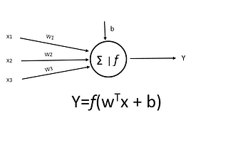 What is Artificial Neural Network and How it mimics the Human Brain?