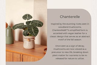 Creative September Newsletter Ideas and Examples for Podcasters