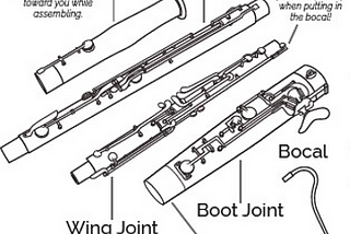 What’s Wrong With My Bassoon?