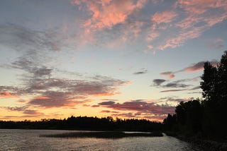 Learning to Love the Bush: The Call to the Wild