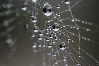 Learning by Inter-Being