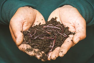 Start composting now