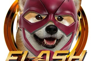 WELCOME TO FLASH DOGE