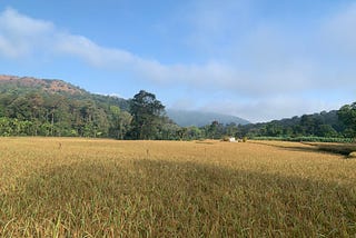 Kodachadri Trek & Jog Falls