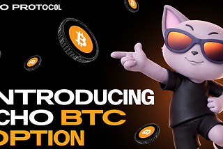 Introducing Echo BTC Option