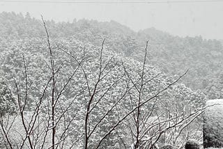 It Snowed On The Twelfth Day of Christmas Last Year