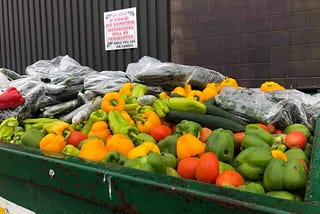 Why I started a food rescue project