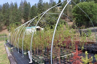 Conservation partners, volunteers help future wildlife habitat take root