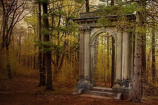 Forest Portal, Italy