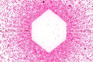 Kashi NMR Lending: Earn APR Without Staking on a Model