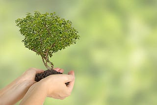 How the Shipping Industry is Reducing Their Carbon Footprint