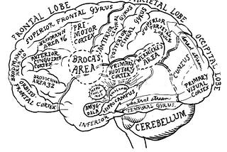 A metaphorical model of the mind