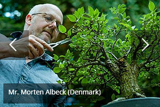 Bonsai Exhibition-Bonsai Namaste