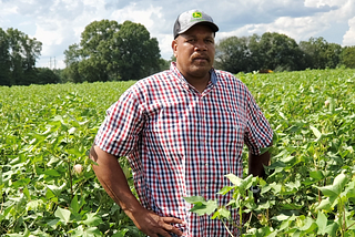 A Partnership Between Target And Black-Owned Family Farms Brings Sustainable Cotton Products To…