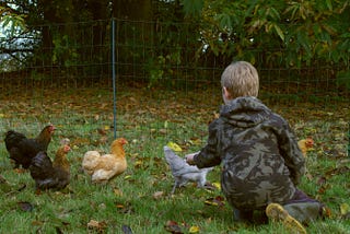 A glimpse of Dandelion Time: a charity ‘restoring hope to young lives’