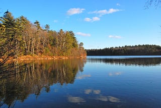 Thoreau Shelters in Place