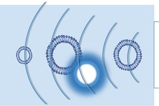 How to create tiny vapour bubbles near lipid membranes using sound waves
