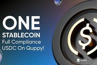 Why USDC is the Best Choice for Your Transactions on Quppy Wallet