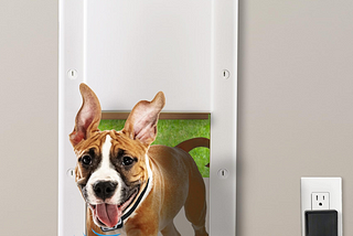 The All-Weather Smart Pet Door: High Tech Pet PX-1 (WiFi)