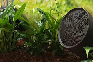 Wireless Outdoor Speakers