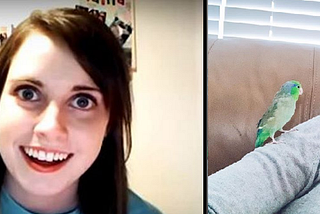 The Woman Behind Overly Attached Girlfriend