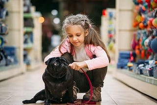 A One-Stop Haven for Pet Owners: The Animal Supplies Warehouse