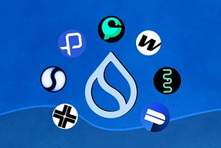 Exploring Sui and Its Most Exciting Projects for Developers