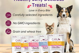 Healthy And Softy Delicious Baked Treats For Dogs and Cats