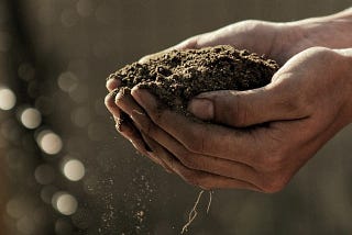 We Should Worry About Climate Change’s Impact On Soil Fertility