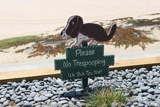 Sign no trespooping with a dog painted on the sign