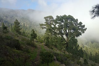 Tenerife, the island of eternal Spring