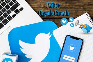 social media growth, twitter follower, brand marketing, twitter promotion