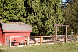 Arbor School of Arts and Sciences