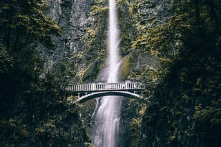 Agile Versus Waterfall: Who Wins?