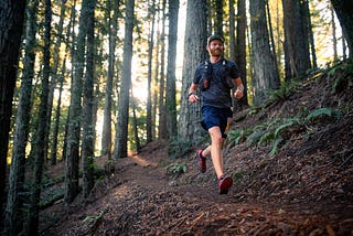 A Pilgrimage to Mt. Tam