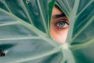 A woman’s  eye  peeking through a large  green leaf.