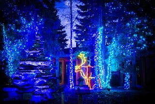 Toledo Zoo Lights 2023, and a few portraits