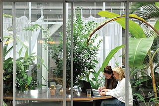 What is Considered as Biophilic Design?