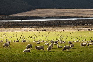 Facts and Simon Bridges