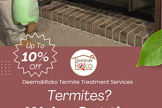 Say Goodbye to Termites with DeemakRoko’s Expert Treatment Services!