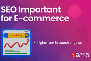 e-commerce seo