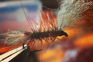 Summer flies for Norway part 1 “The RukMug”