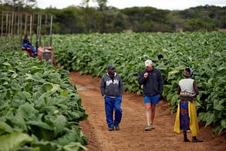 Land Reform in Zimbabwe