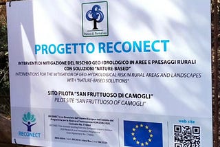 The RECONECT Conference. A large, packed, but effective agenda