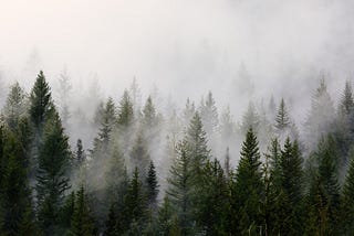 The Intersection Observer API: Practical Examples