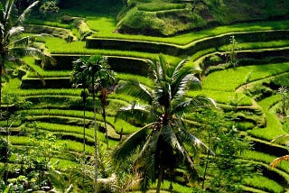 Ubud; Nirwana dengan Kearifan Lokalnya