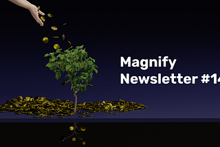 Magnify #14 — Венчурні фонди: Бери 💰, йди