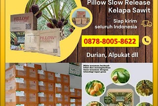 TERBUKTI, WA: 0878–8005–8622 Pupuk Durian Agar Cepat BerbungaTerpercaya Di Aceh Selatan Pupuk…