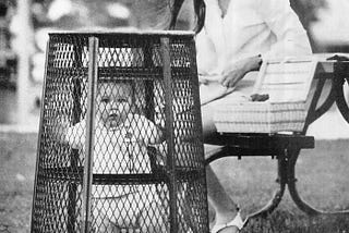 Baby Basket