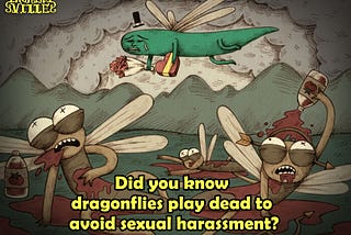 Did You Know Dragonflies Play Dead To Avoid Sexual Harassment?